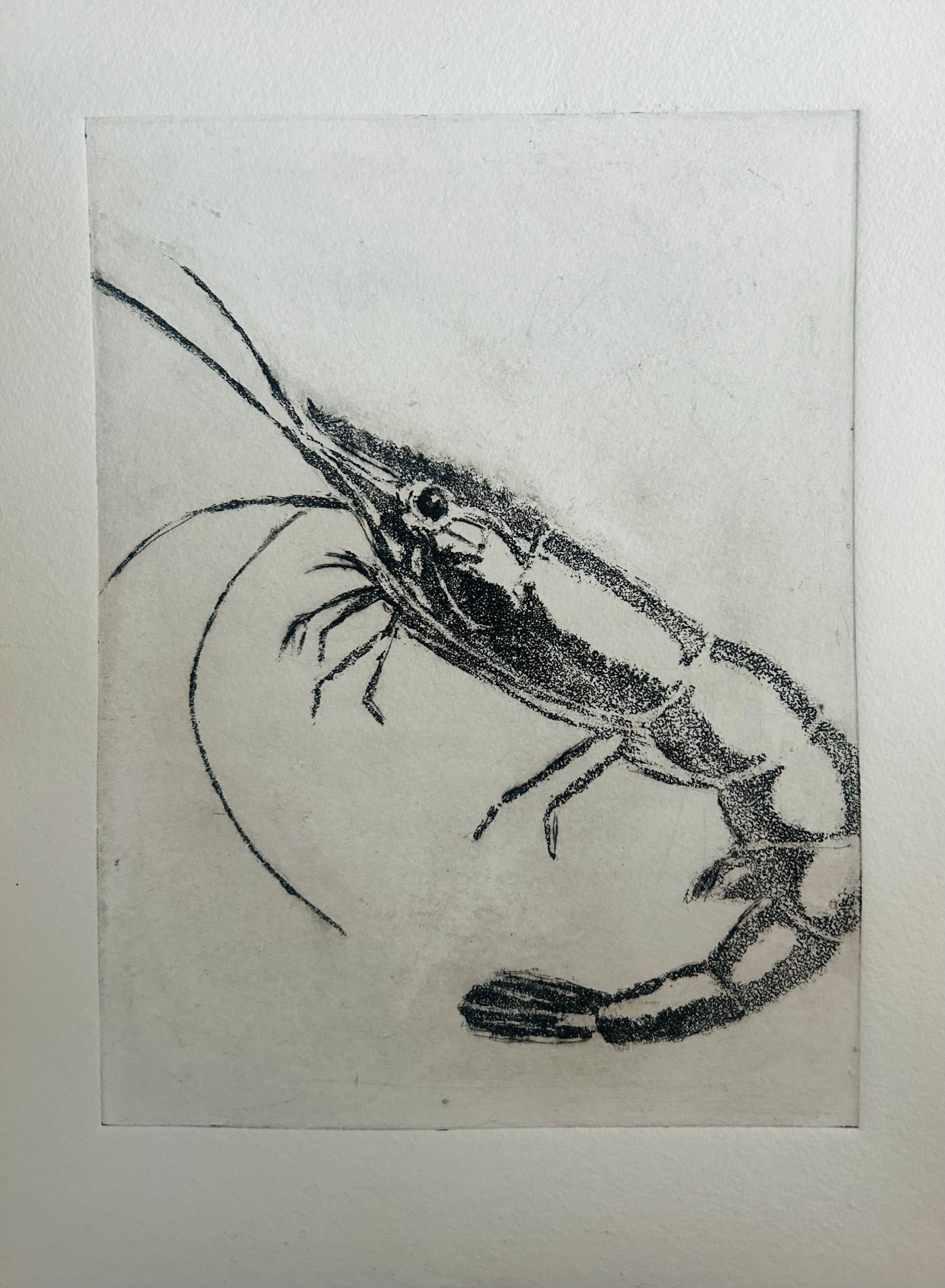 Reje – tryk/grafik af Maria Blaaberg