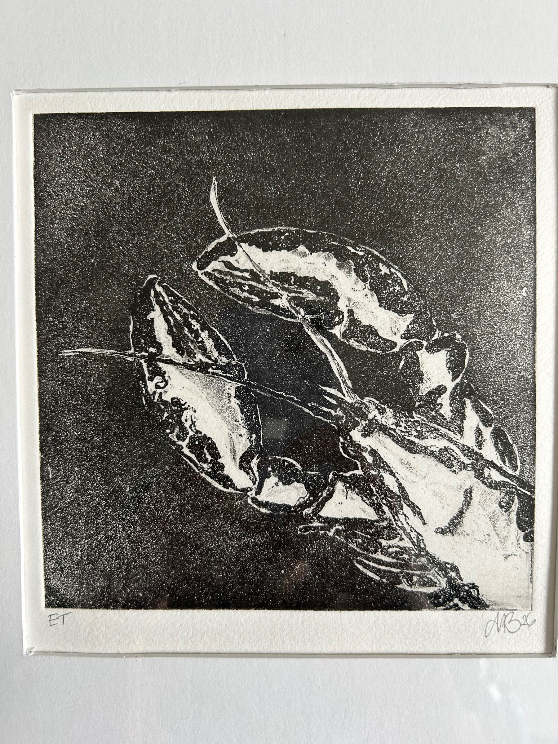 Krabbes ven – tryk/grafik af Maria Blaaberg