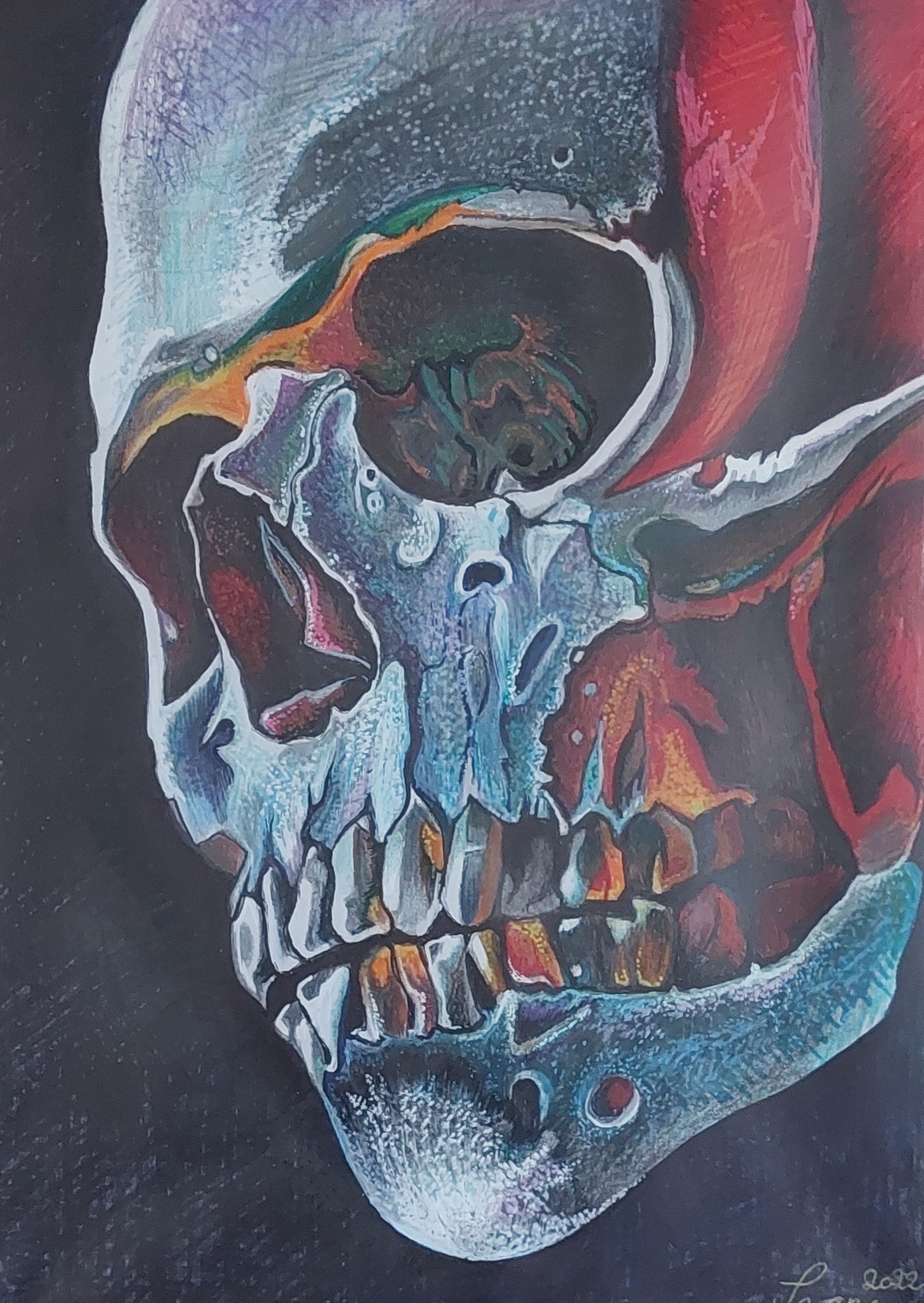 Skull in heat – tegninger af Naked Art