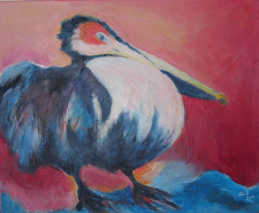 Pelikan, stor