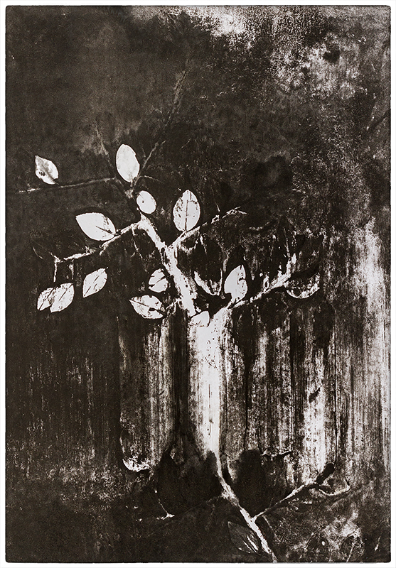 Tree in the forest