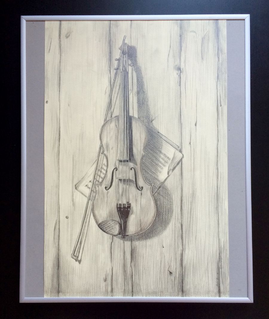 Violin's Symphony