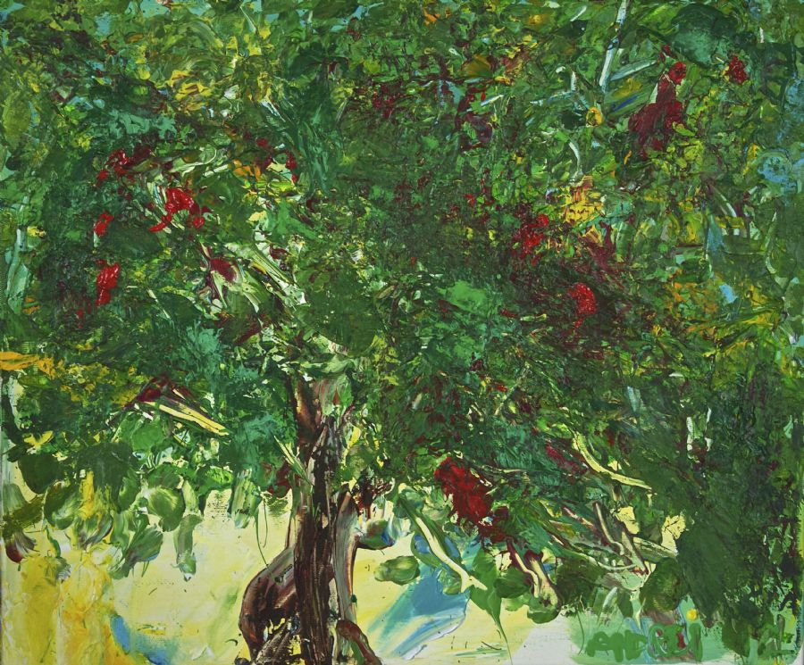 Apple tree - Æbletræ