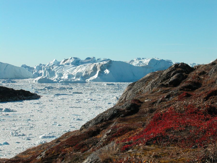 Ilulissat isfjord og efterårslyng