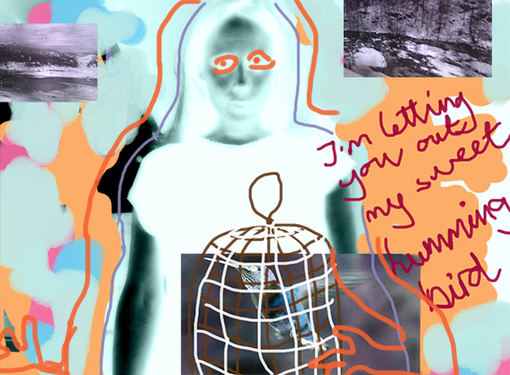I´m letting you out my sweet hummingbird