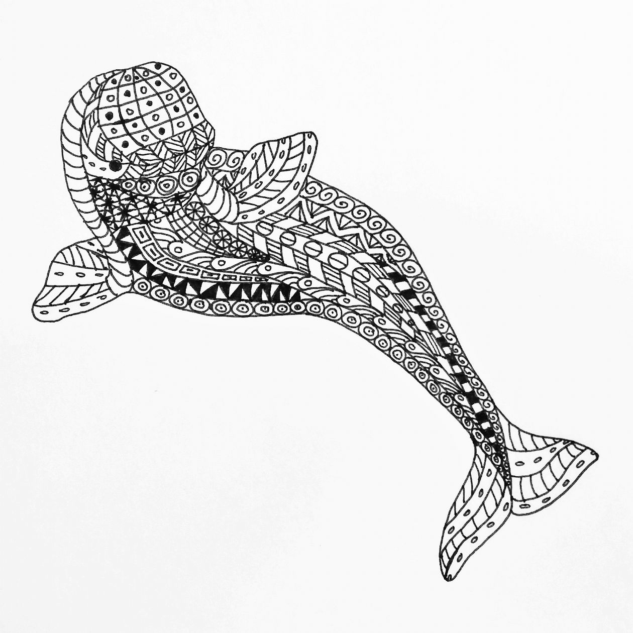 Beluga