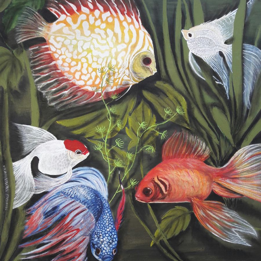 Akvarium