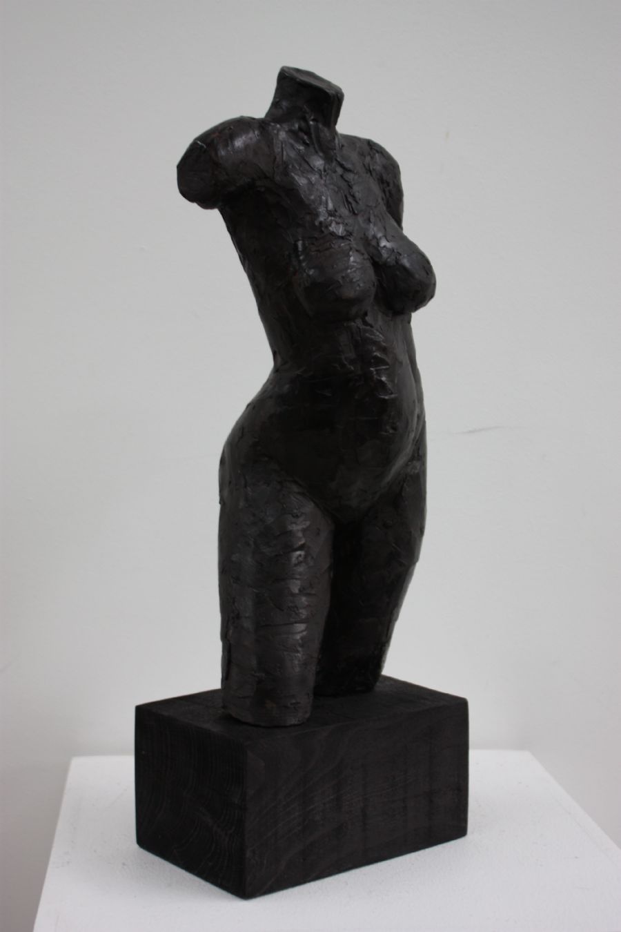 Torso