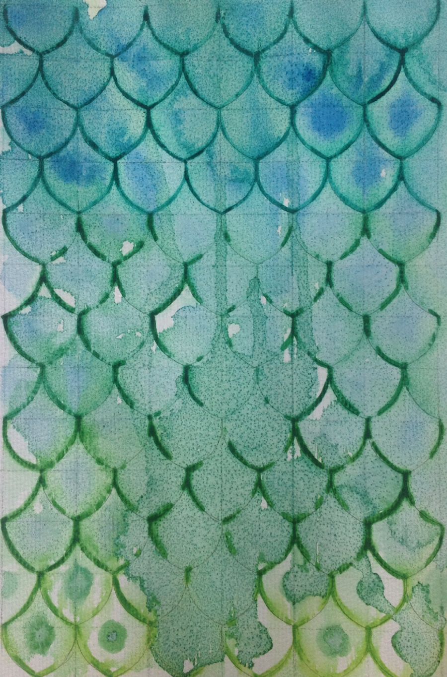 Fish Scales