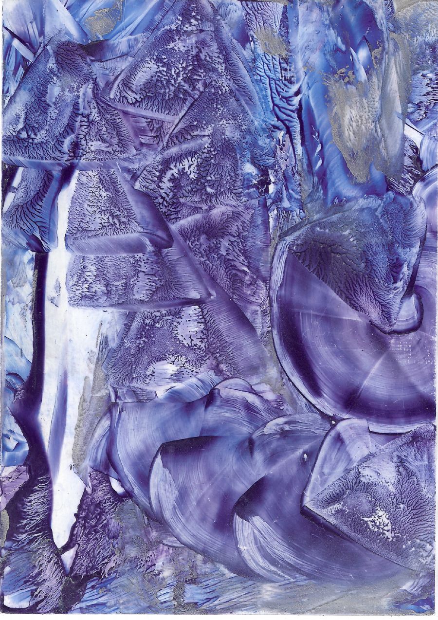 Blue Concylia