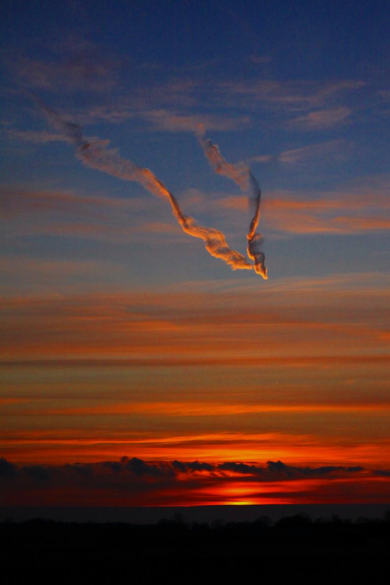 Evening beauty