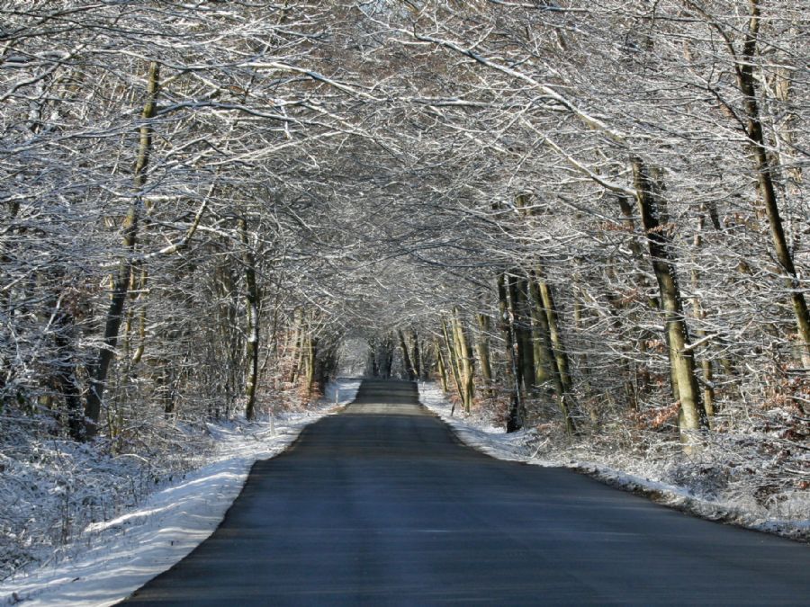 Sneskovvej.