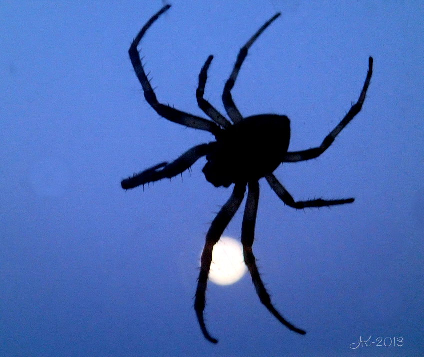 SpiderMoon