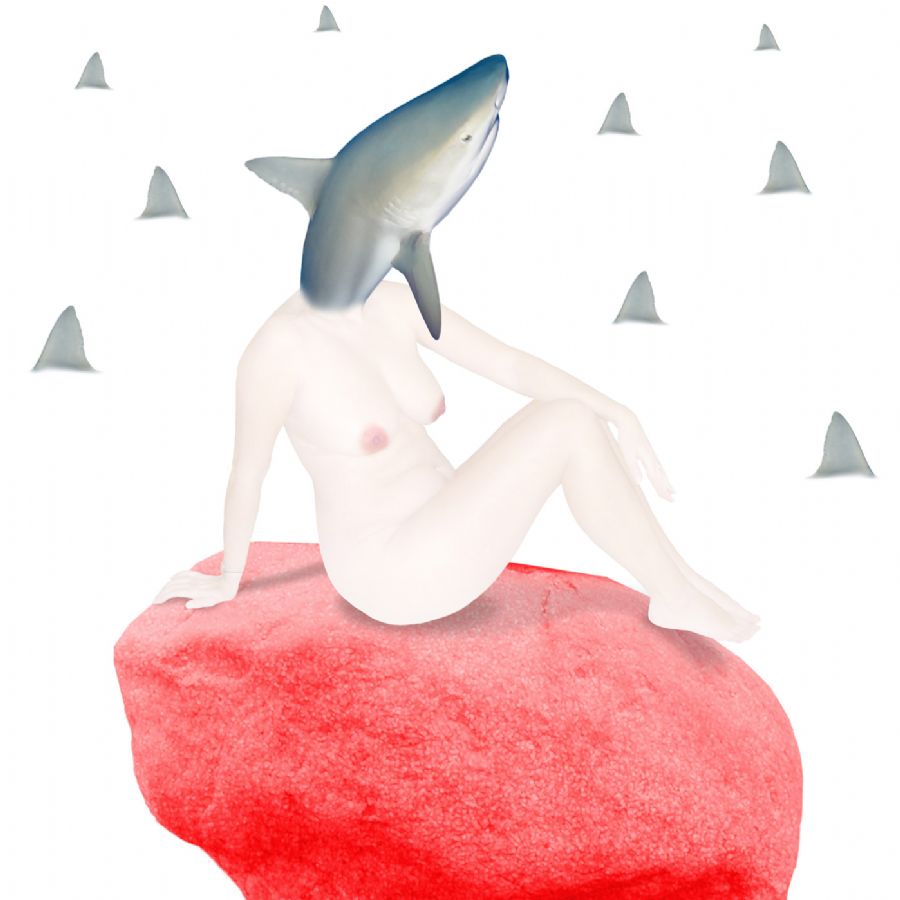 Sharkisme