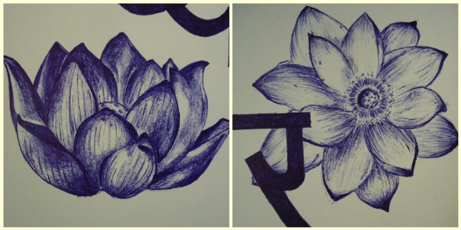 Lotus Blomster