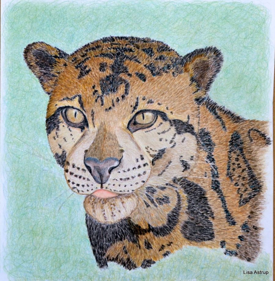 træ leopard