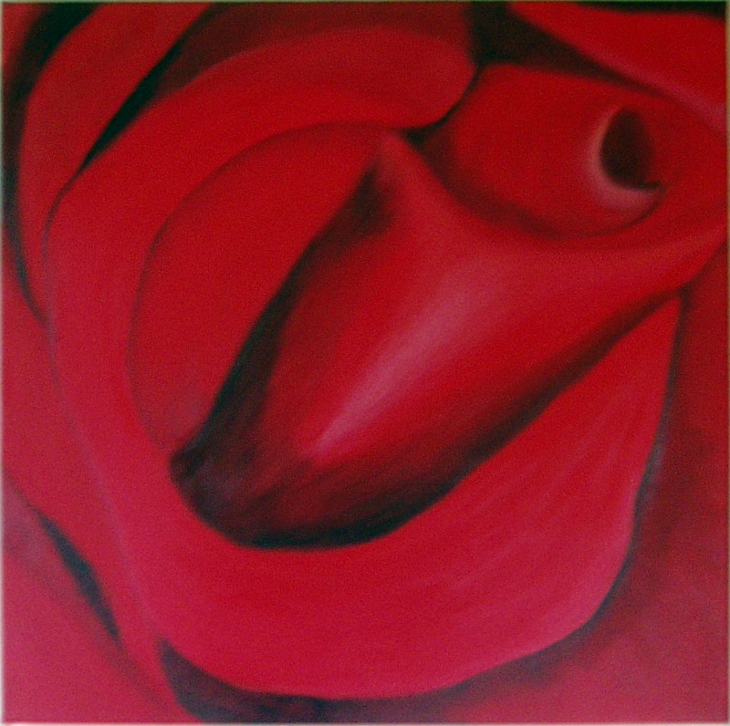 rød rose