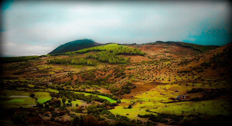 Hills of Afrika
