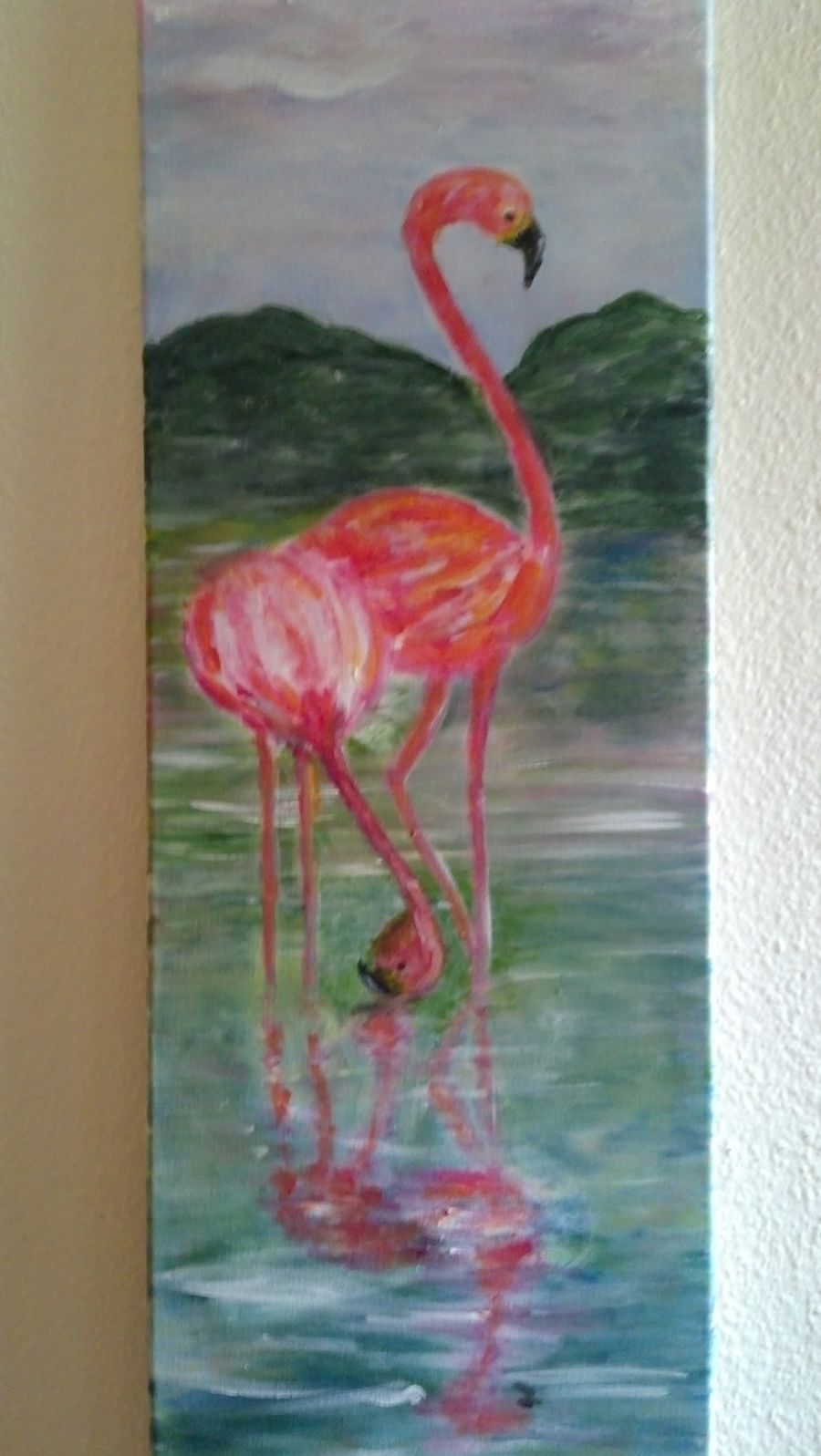 flamingos