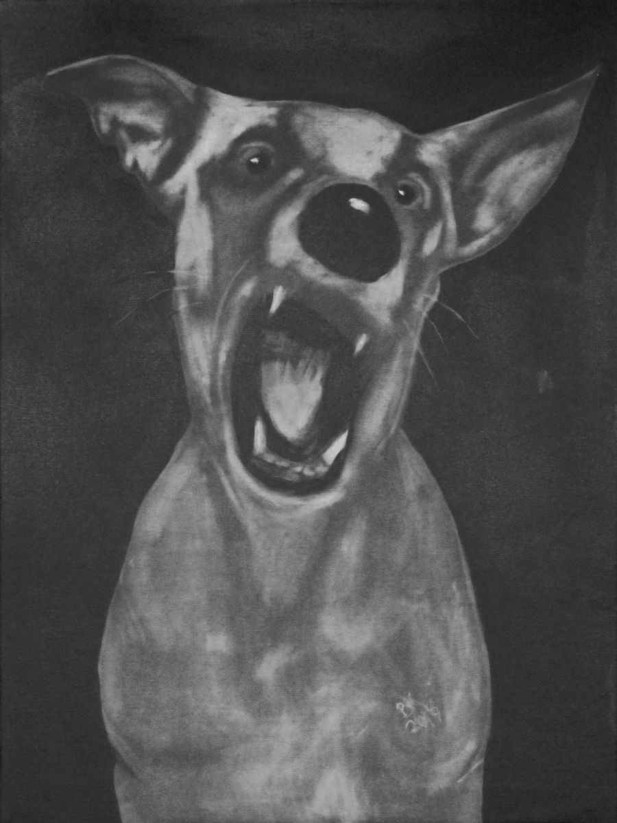 Hunde kunster