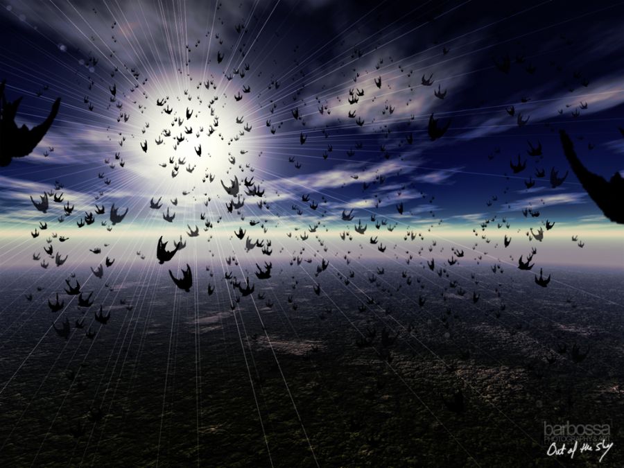 P11 | Out of the Sky