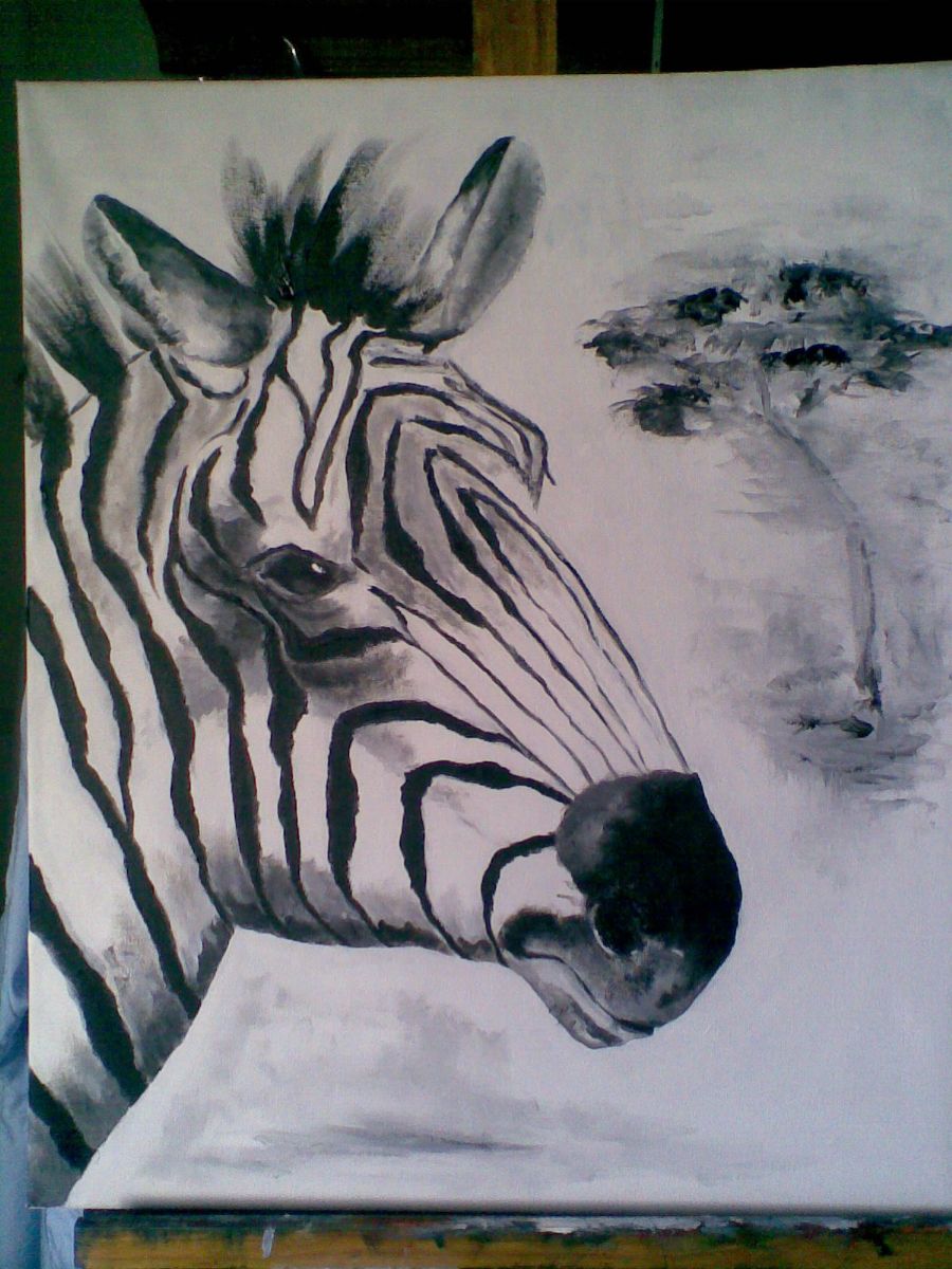 Zebra på sletten.