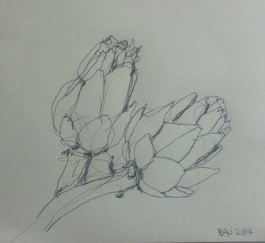 Artiskok
