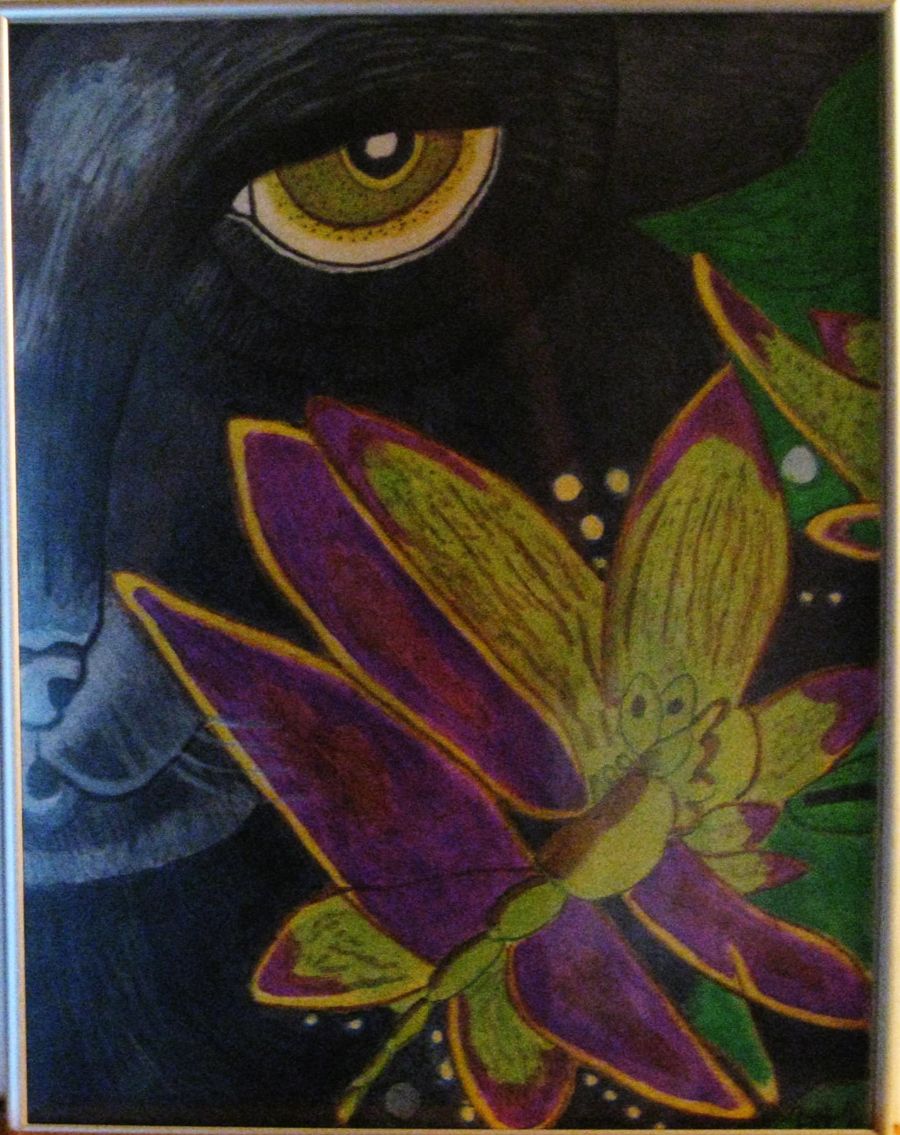 Russian Blue