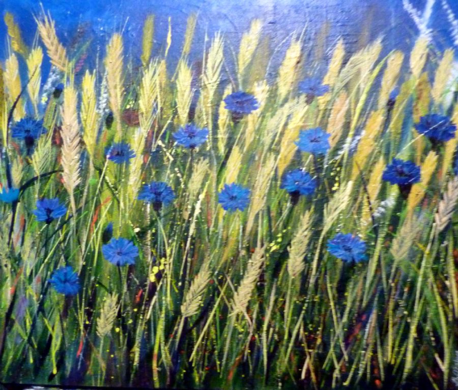 Kornblomster