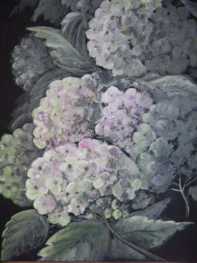 Hortensia