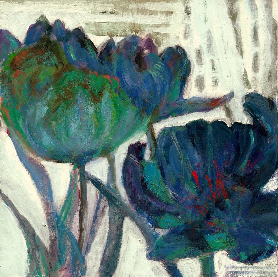 Tulipaner