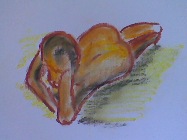 Croquis