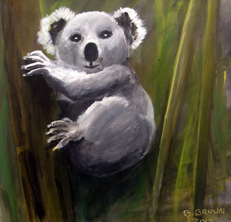 Koala