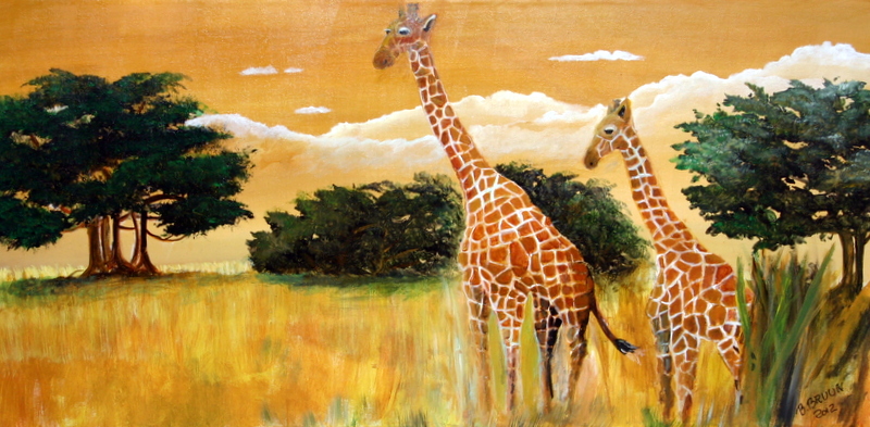 giraffer
