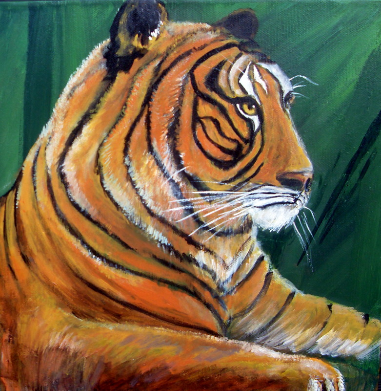 Portræt af tiger