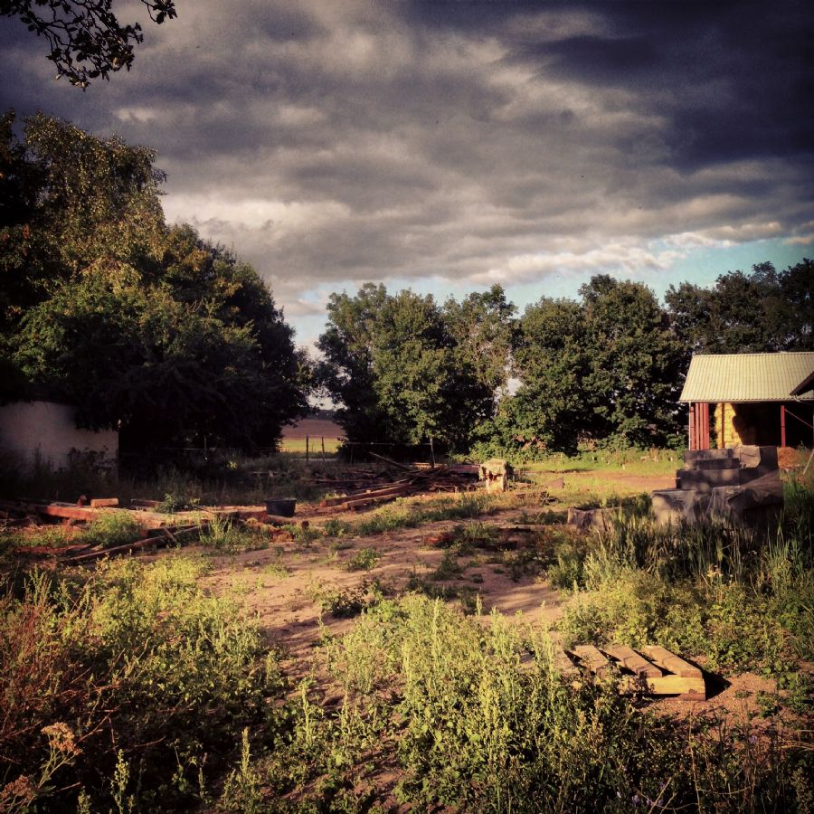 Raw field