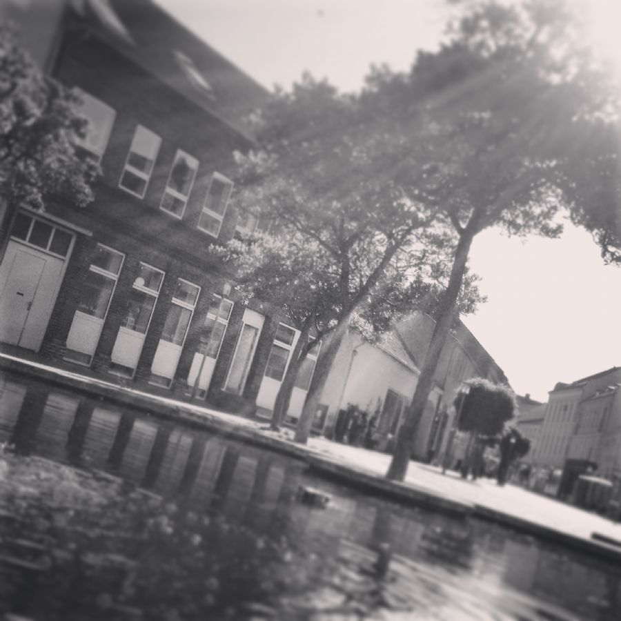 Grey citycolors