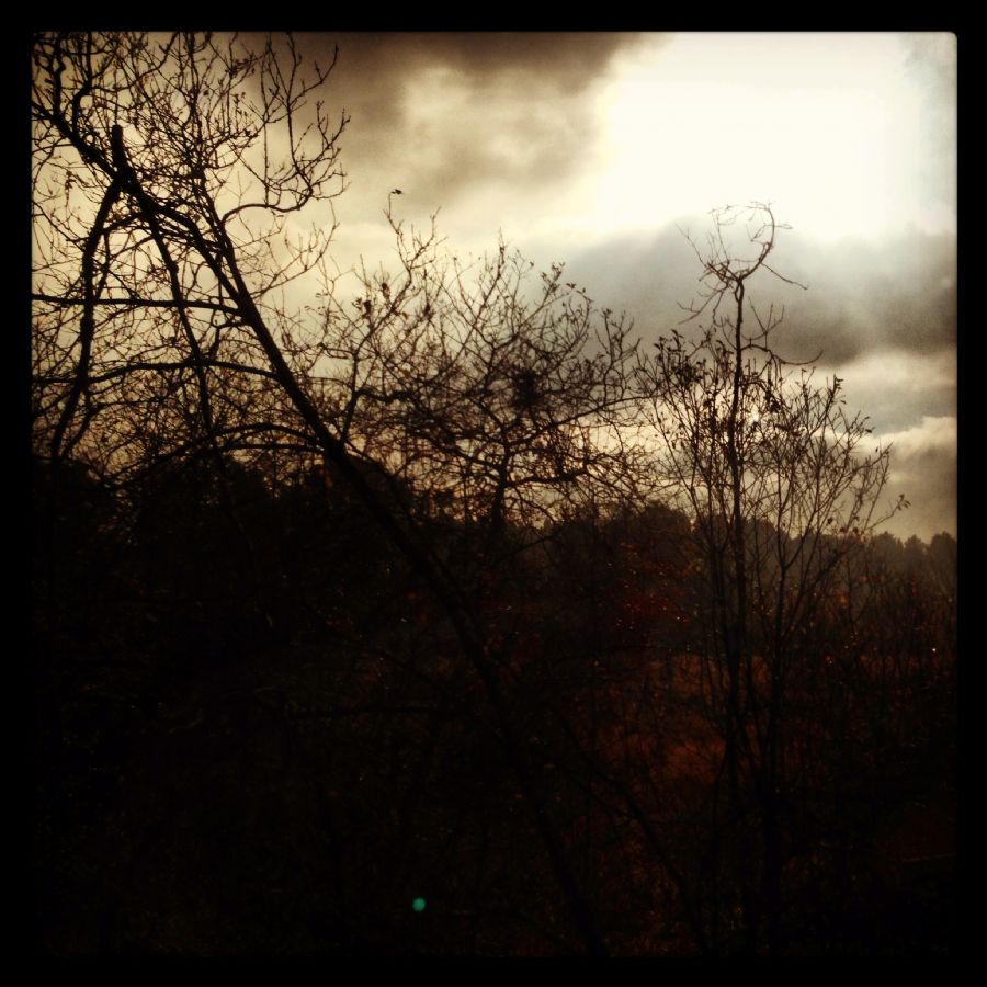 Wilderness