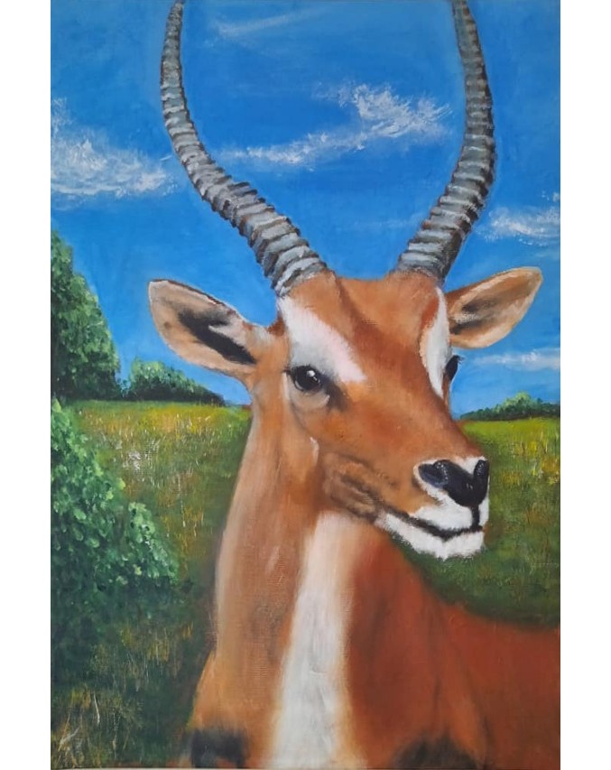 Impala