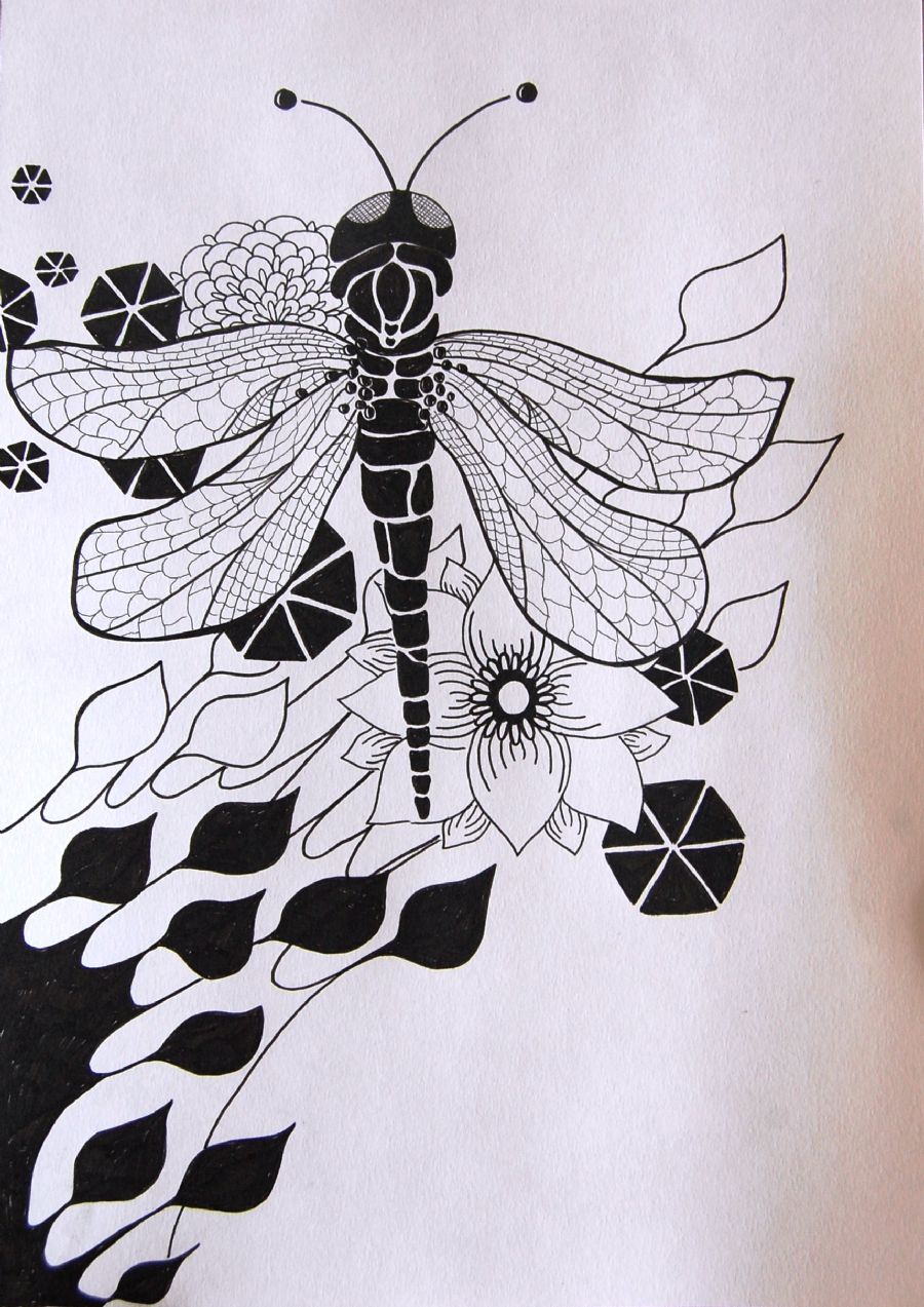 Dragonfly