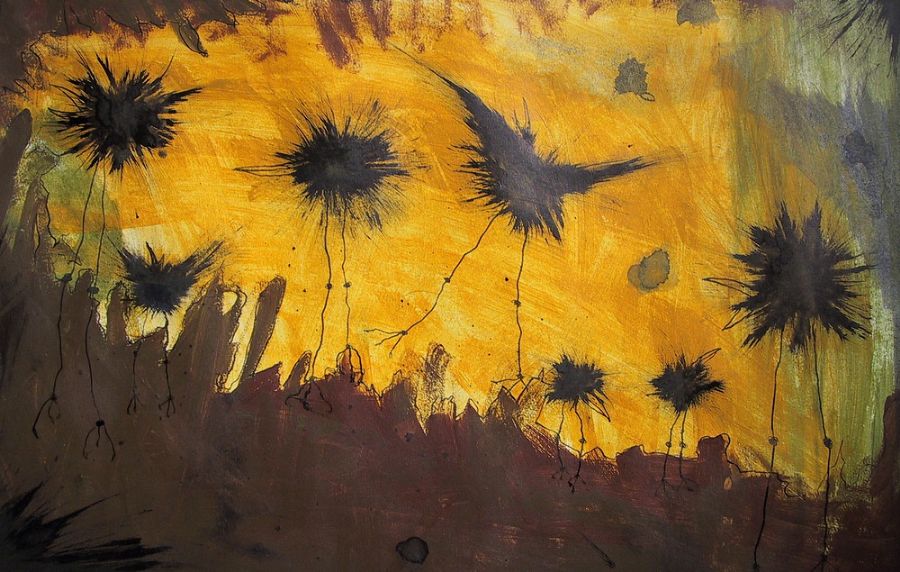Crows