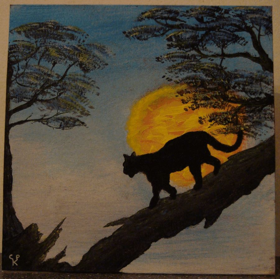 Sunset - black panther