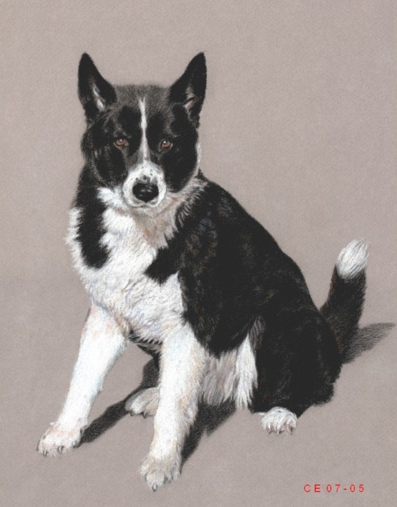 Maia