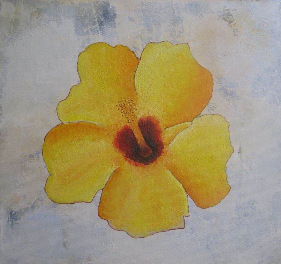 Hawaiiblomst