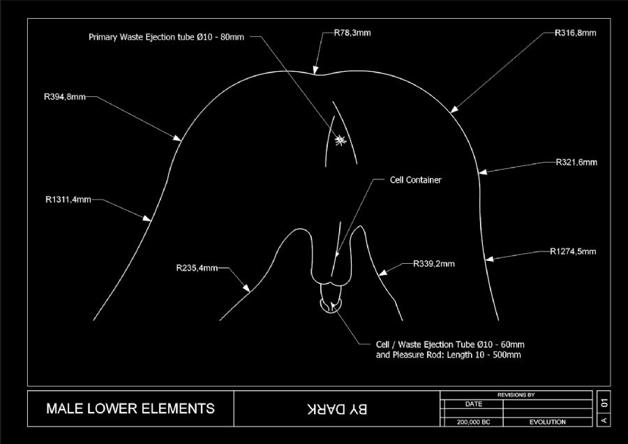 Male Lower Eelements