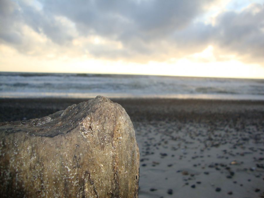 Sandkorn