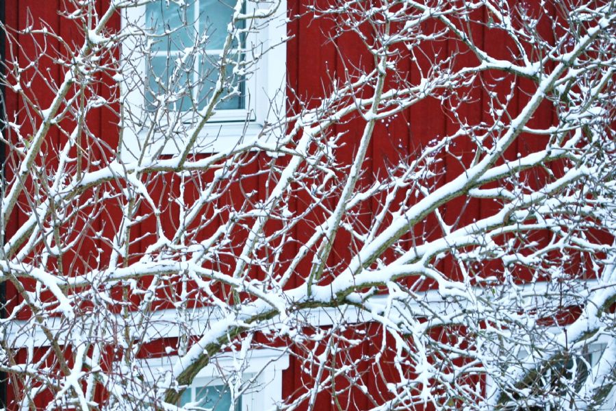 Vinter