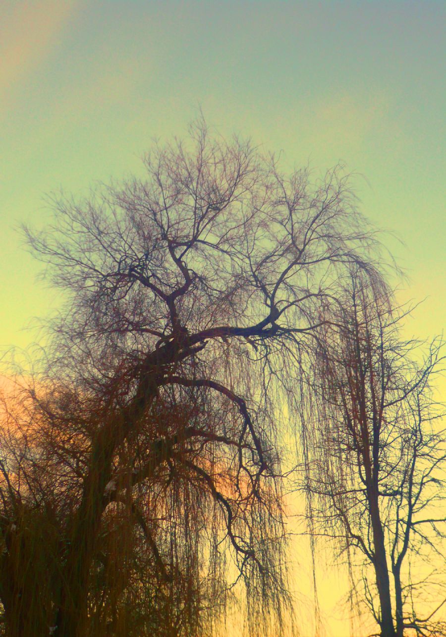 Vinter i Odense