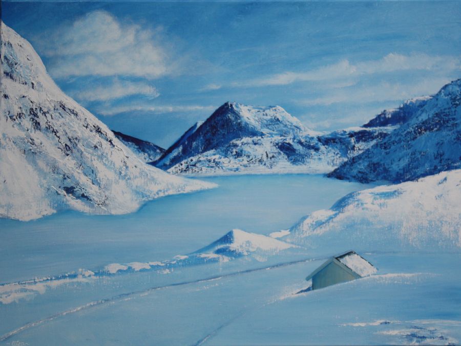 Norwegian Snowscape