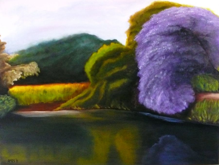 Jacaranda